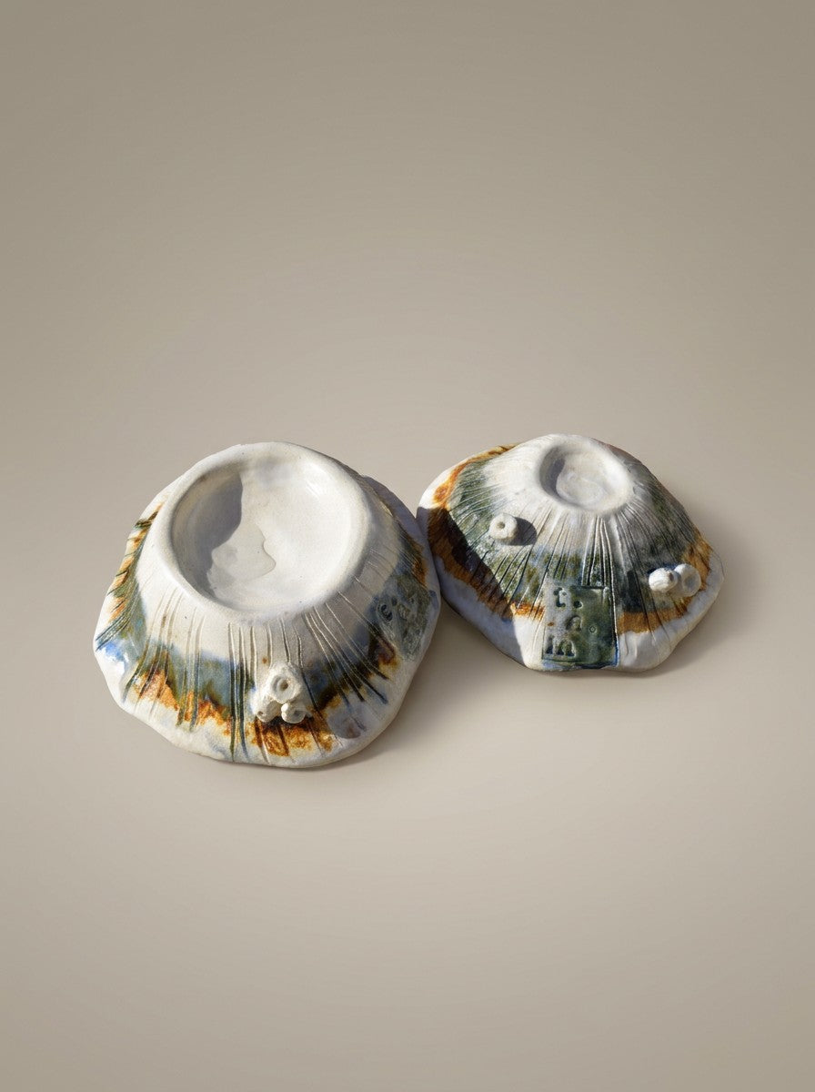 Pair of ceramic limpets